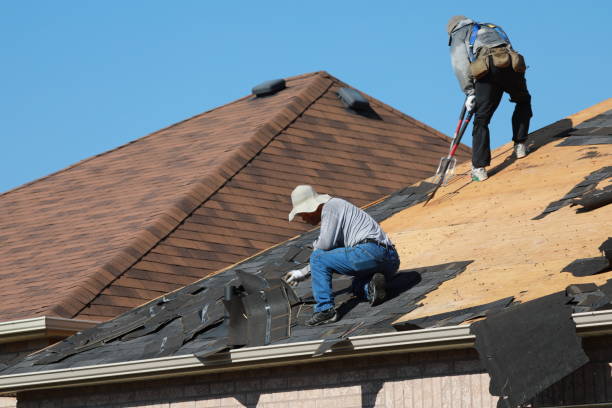 Best Emergency Roof Repair Services  in North Browning, MT