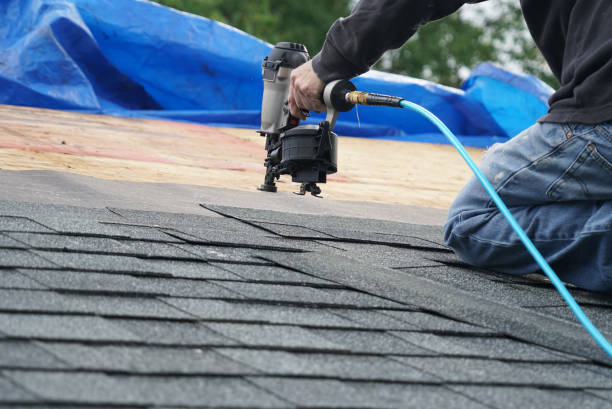 Best Roof Insulation Installation  in North Browning, MT